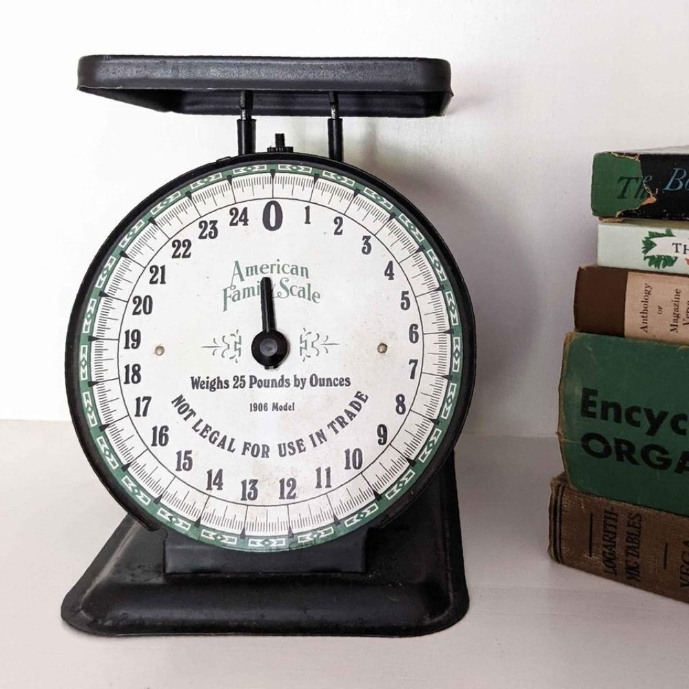 Vintage Rustic Black American Family Scale 25lb Model 1906 general store vintage